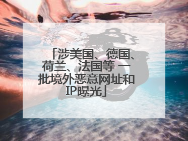 涉美国、德国、荷兰、法国等 一批境外恶意网址和IP曝光